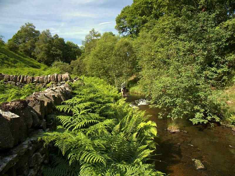 Back Dane - Upstream of Gradbach